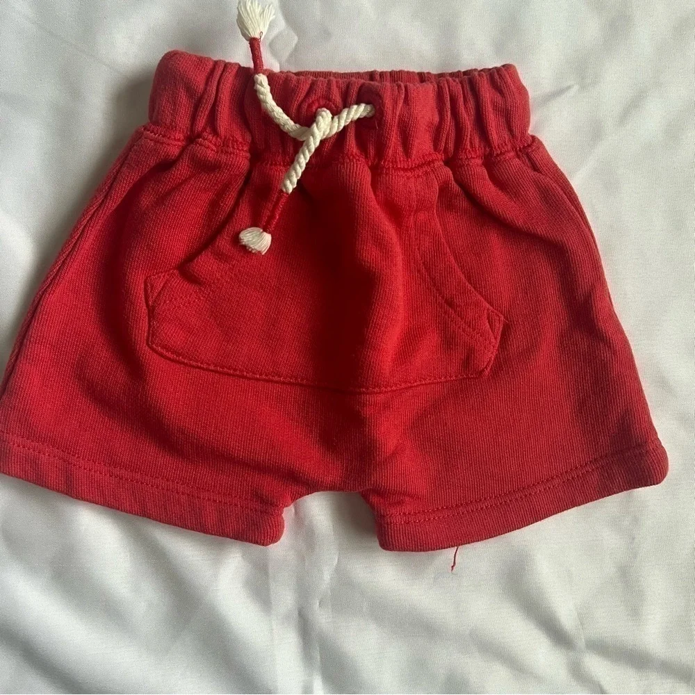 Harley Surfing Dog Shirt and Red Shorts Outfit Set Size 3-6 Months